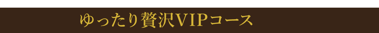 ゆったり贅沢VIPコース